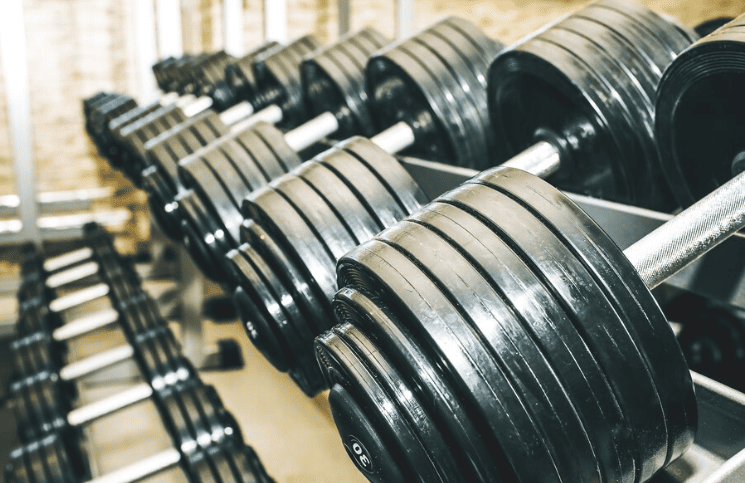 haltères musculation